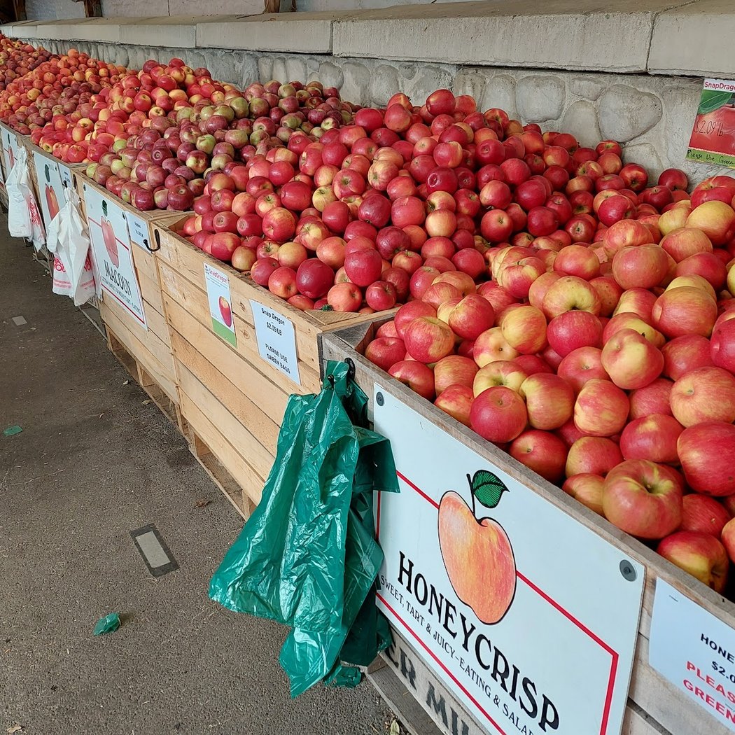 The Cider Mill 4